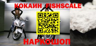 крисы Кулебаки