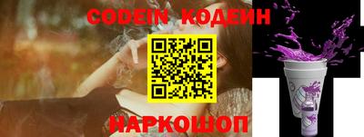 крисы Кулебаки