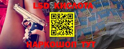 крисы Кулебаки