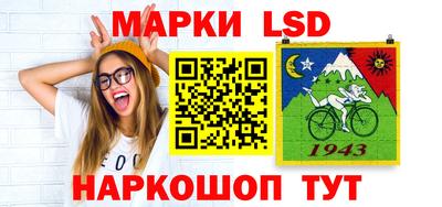 крисы Кулебаки