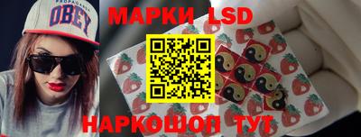 крисы Кулебаки