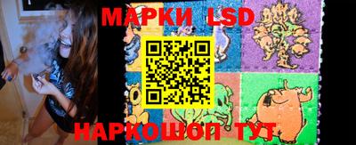 крисы Кулебаки