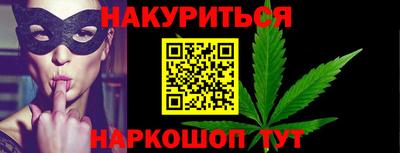 крисы Кулебаки