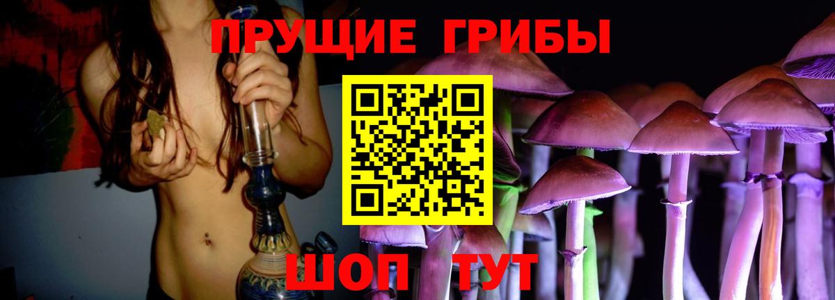 Шадринск  Псилоцибиновые грибы прущие грибы  Вход с VPN  Галлюциногенные грибы ЛСД 